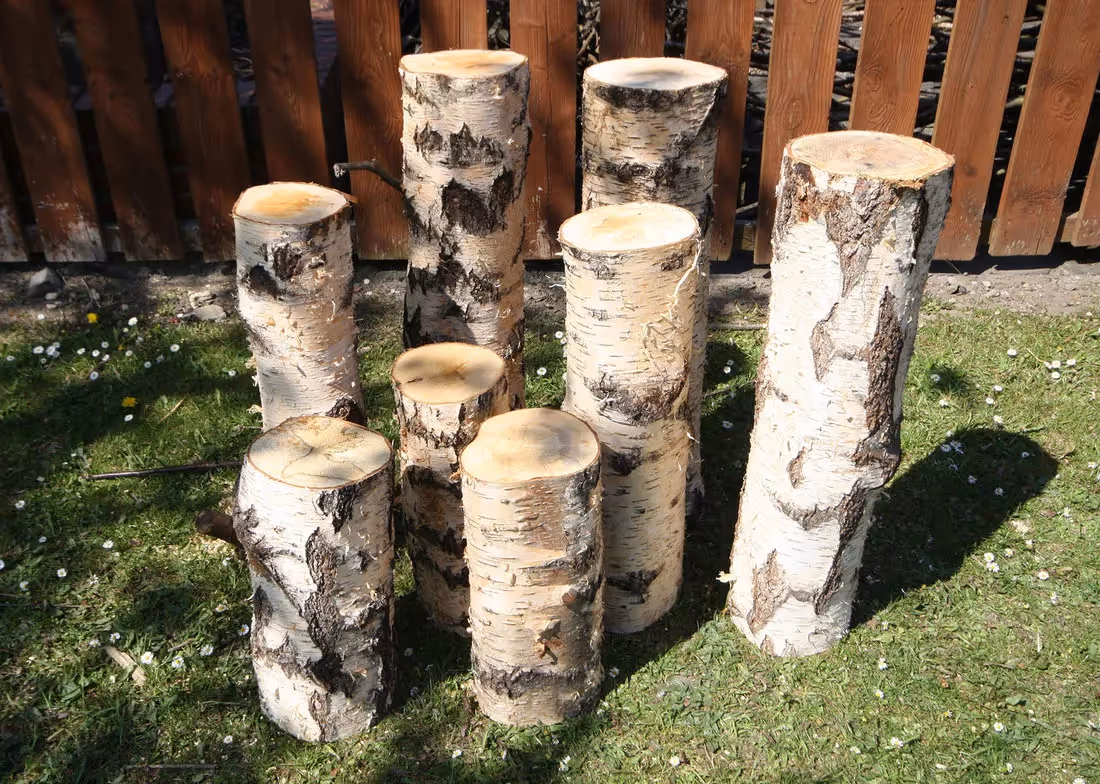 Creative ideas with Preserved Display Logs 04