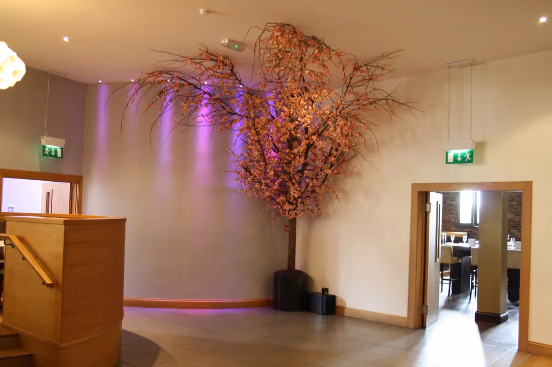Creative use of Artificial Ceiling Canopy Trees 016