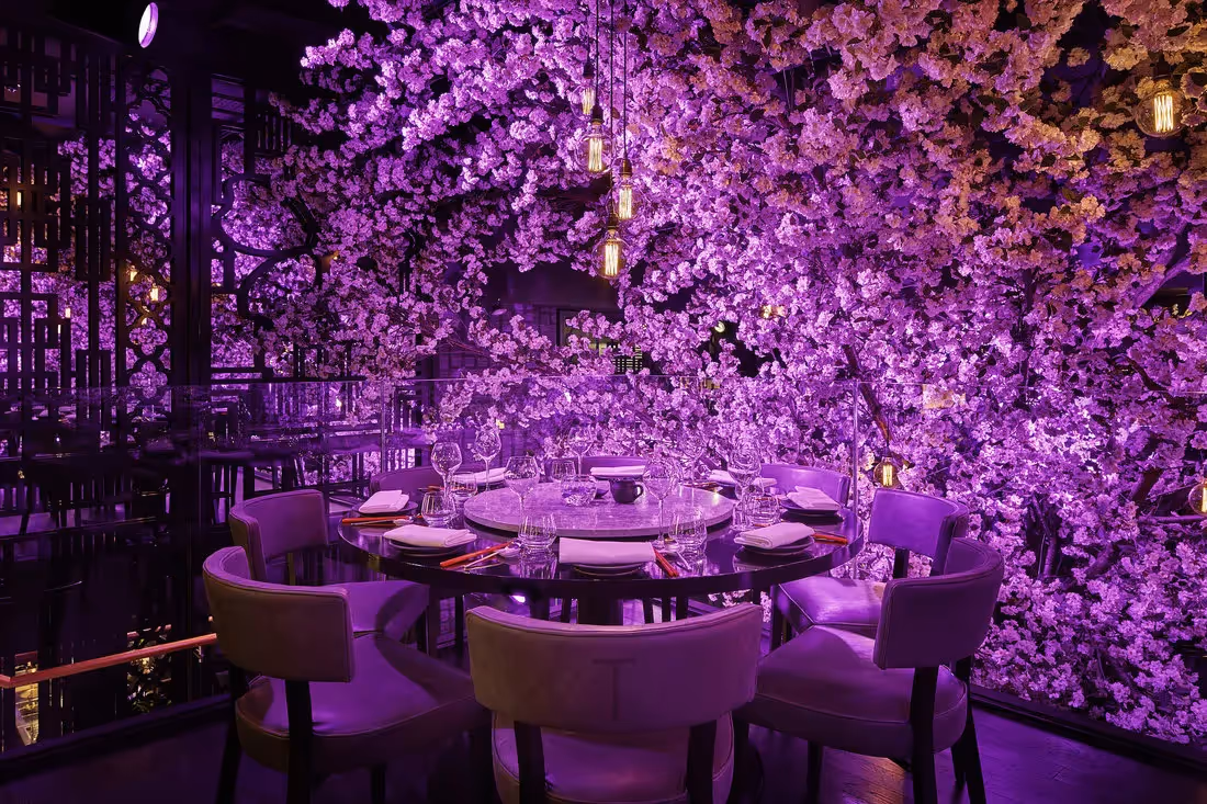 Creative use of Artificial Ceiling Canopy Trees 004