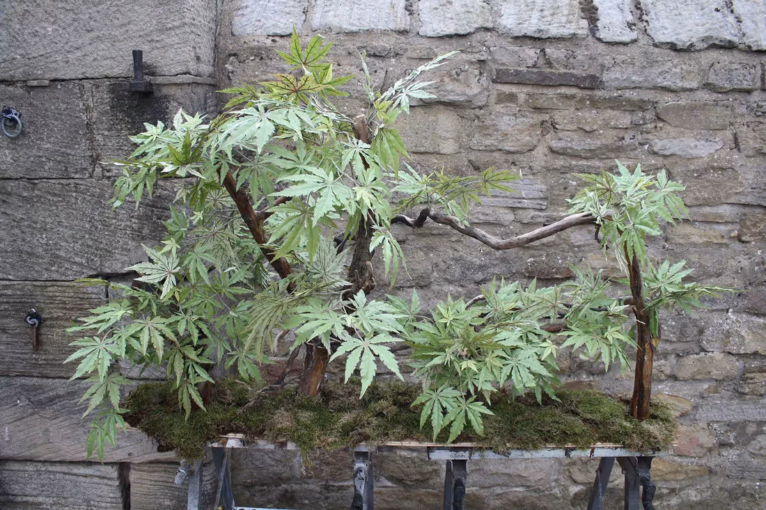 Creative use of Artificial Bonsai Trees by plantART 003