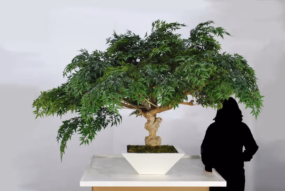 Creative use of Artificial Bonsai Trees by plantART 001
