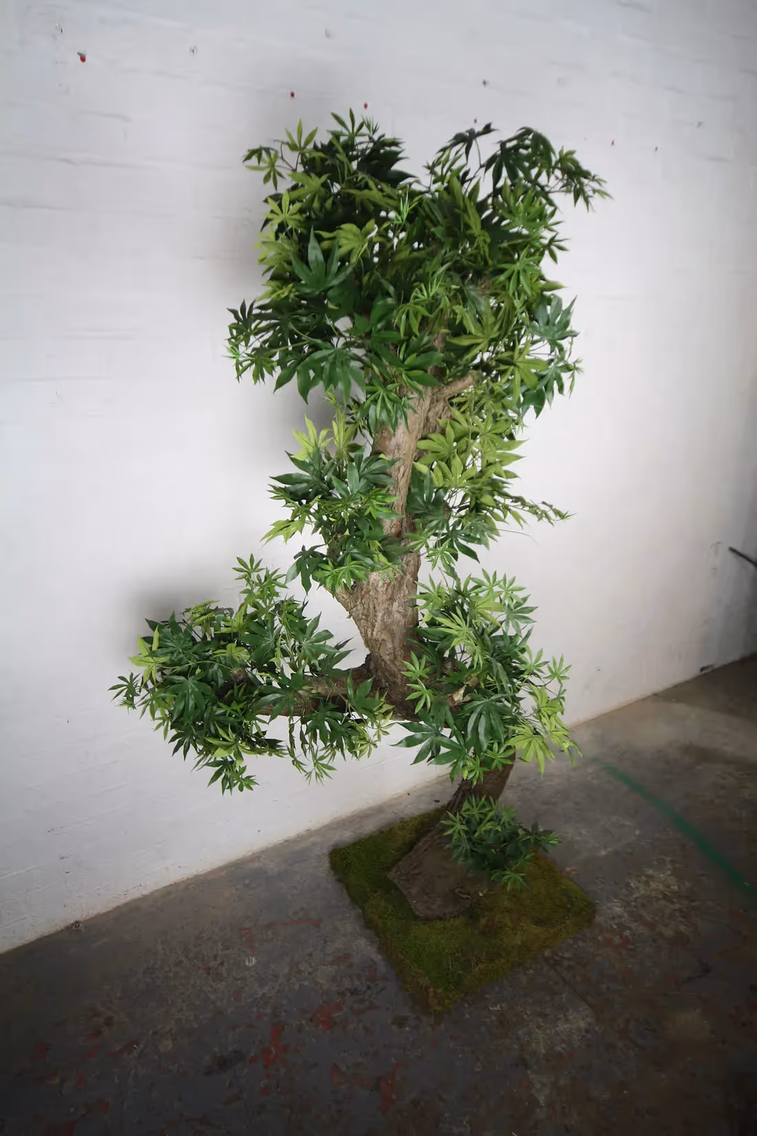 Creative use of Artificial Bonsai Trees by plantART 006