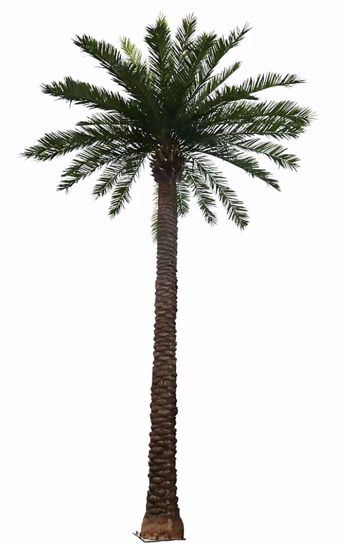 Creative ideas Artificial Palm Tree choice 019