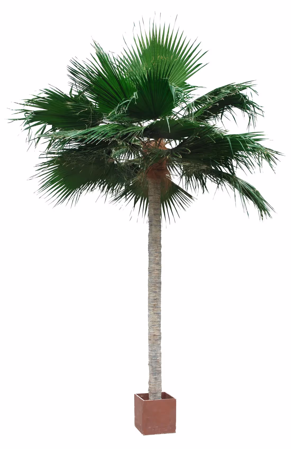 Creative ideas Artificial Palm Tree choice 018