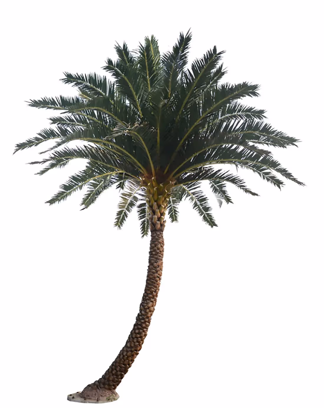 Creative ideas Artificial Palm Tree choice 020