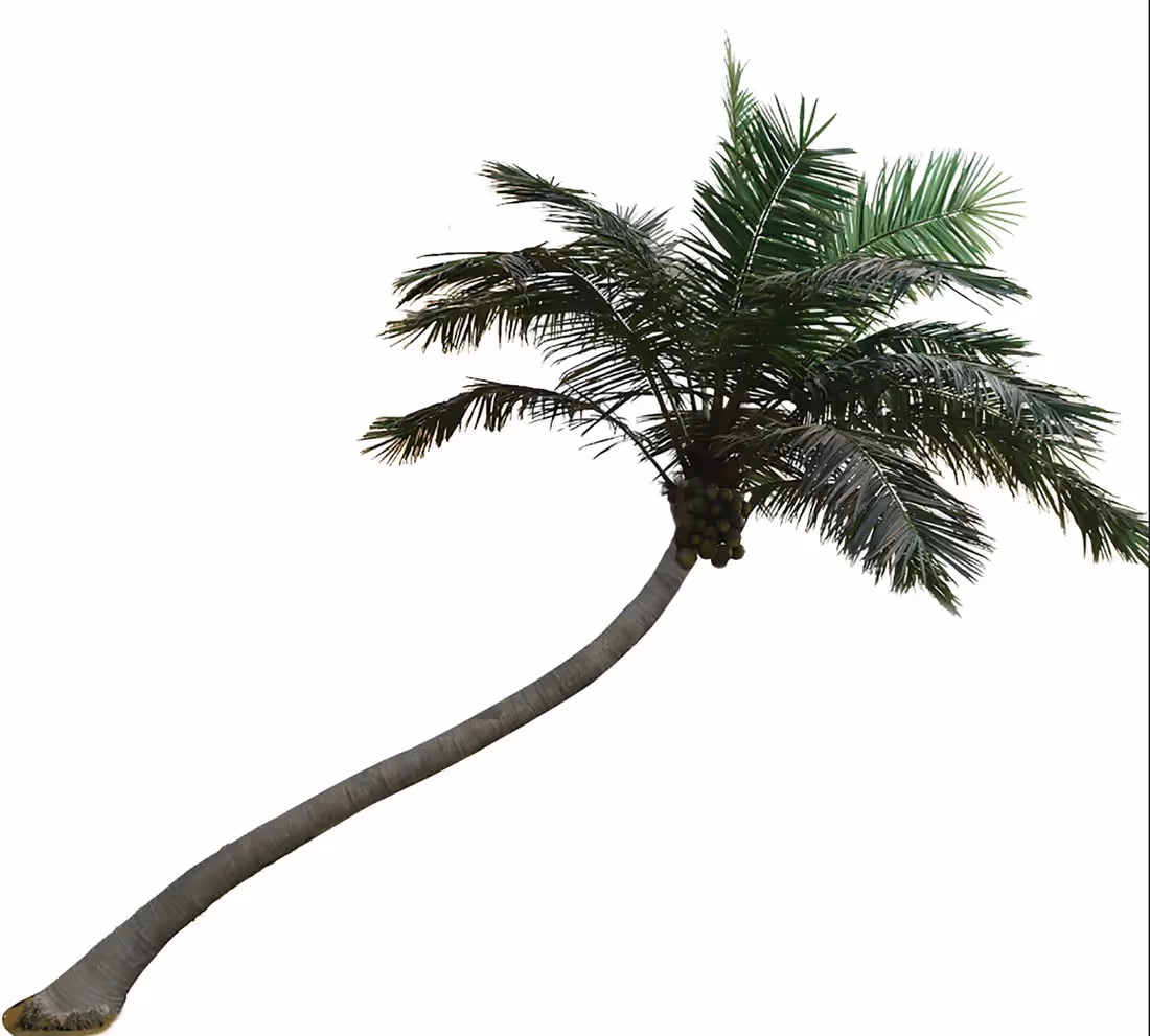 Creative ideas Artificial Palm Tree choice 006