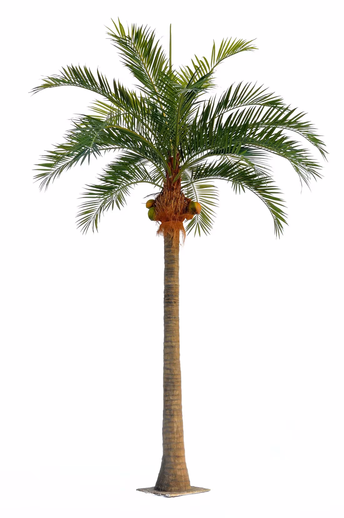 Creative ideas Artificial Palm Tree choice 003