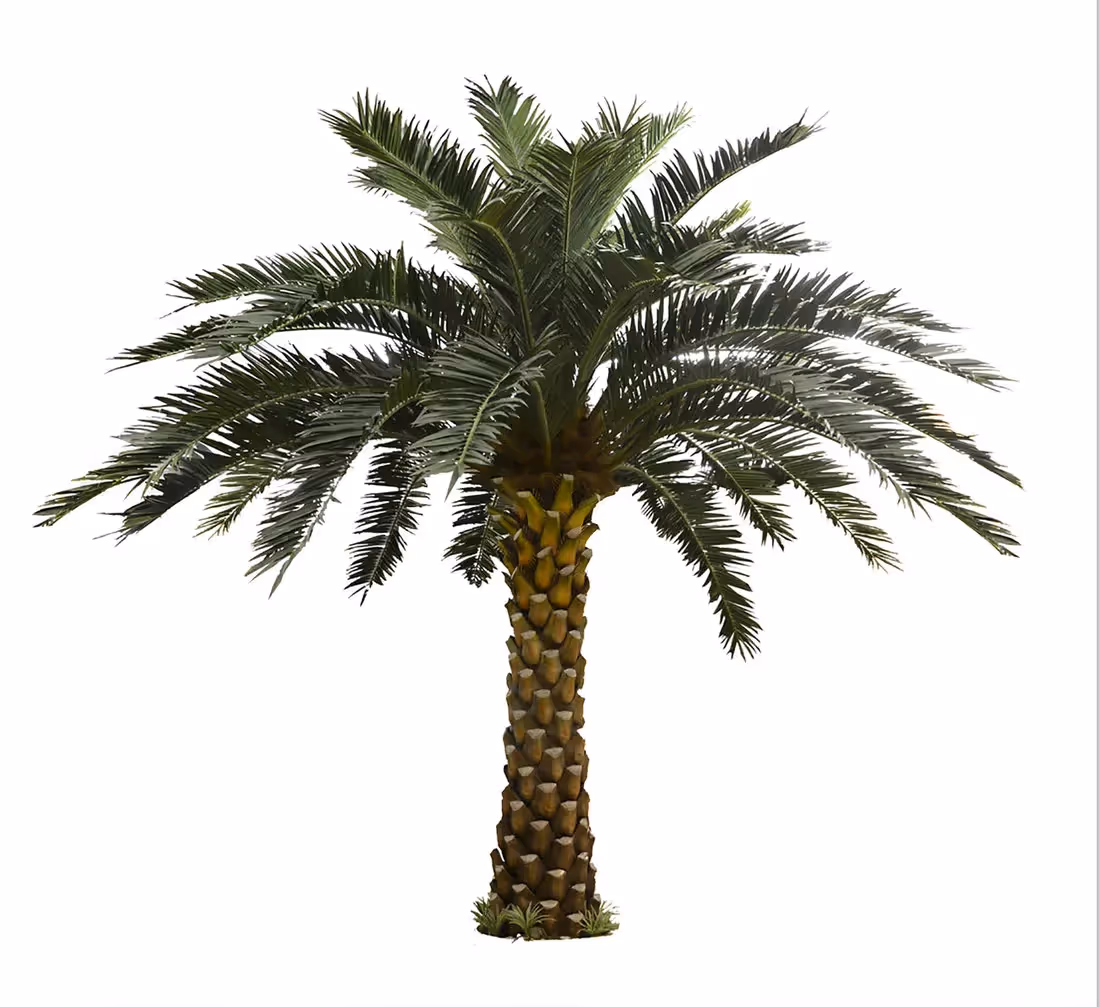 Creative ideas Artificial Palm Tree choice 002