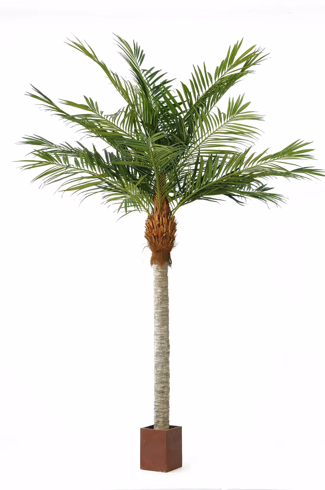 Creative ideas Artificial Palm Tree choice 011
