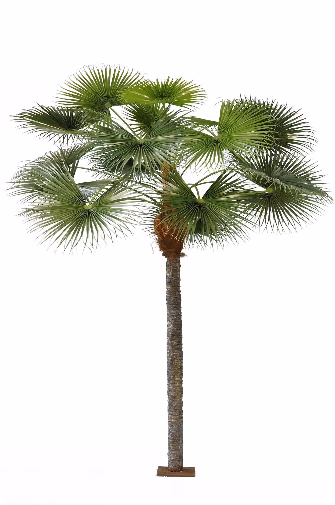 Creative ideas Artificial Palm Tree choice 014