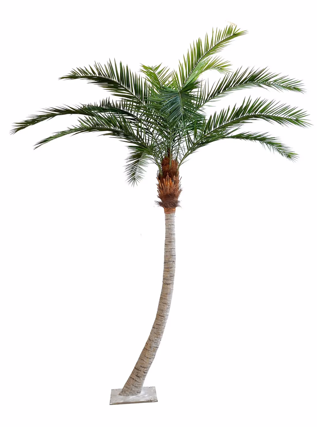 Creative ideas Artificial Palm Tree choice 005