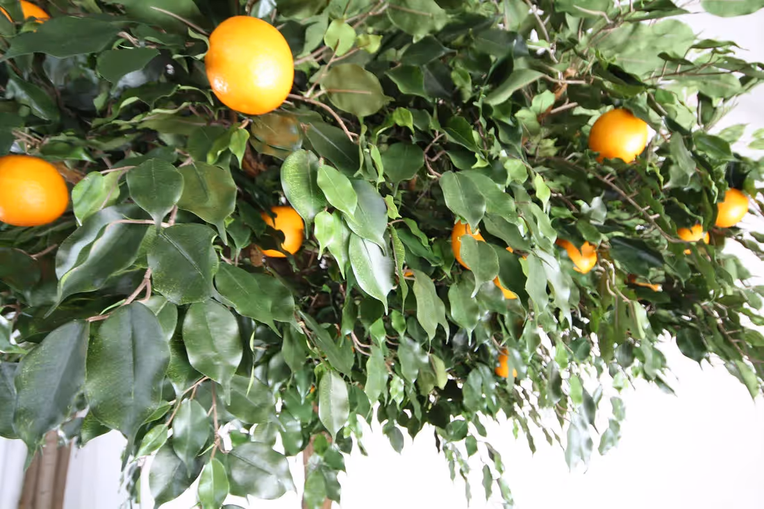 Artificial Fruit Trees