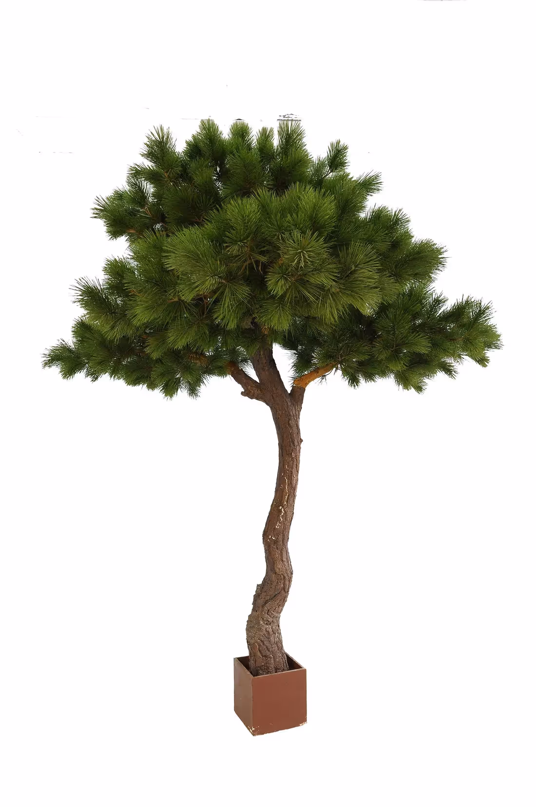 Artificial Cypress Tree selection for creative solutions example 001