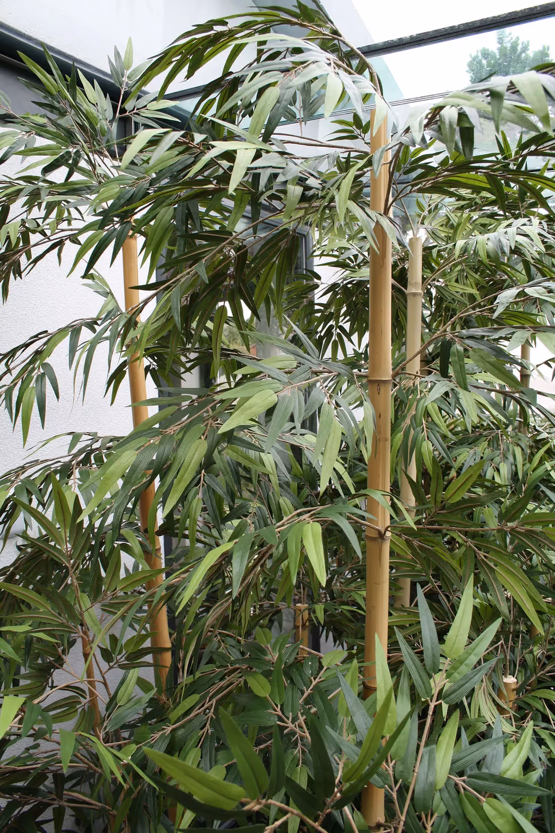 Artificial Bamboo Trees