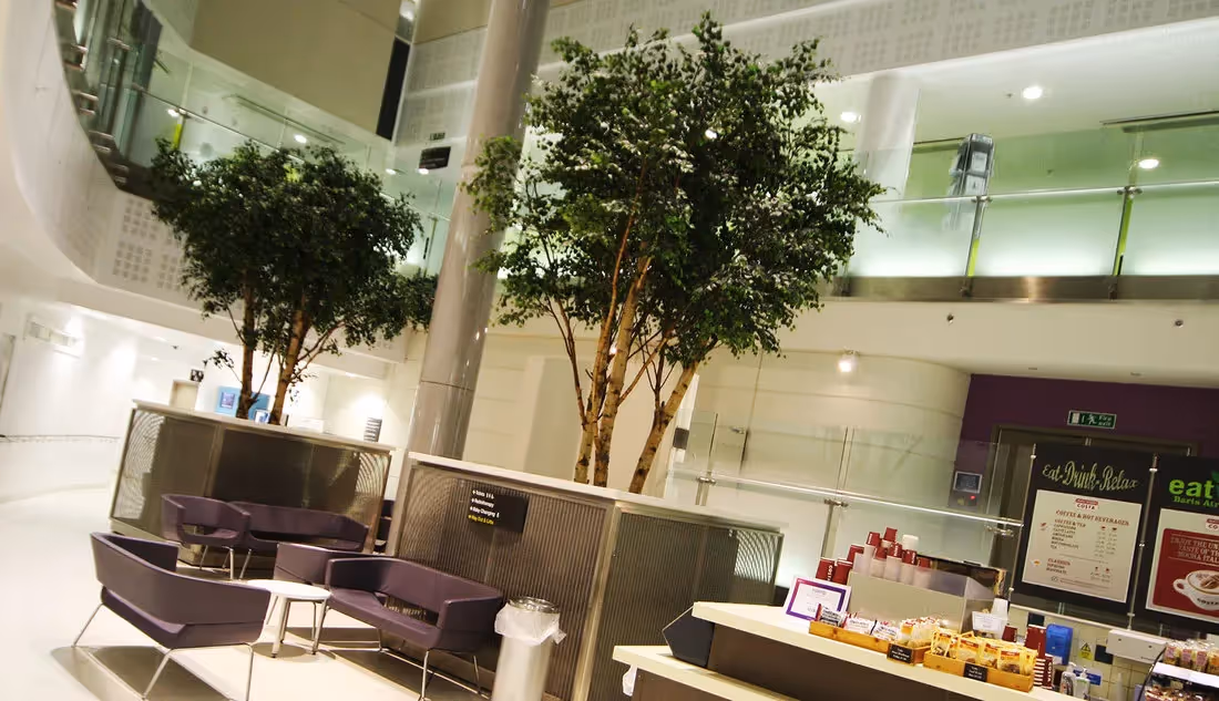 Creative ideas using Artificial Green Birch Trees 010