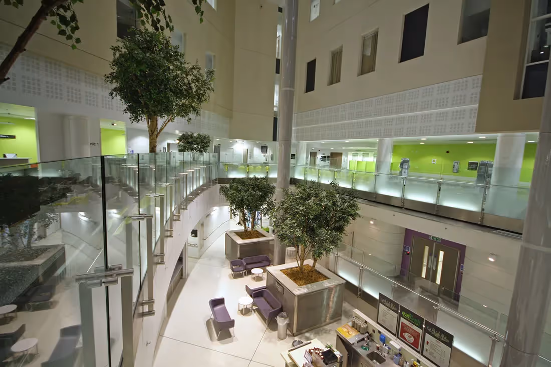 Creative ideas using Artificial Green Birch Trees 014