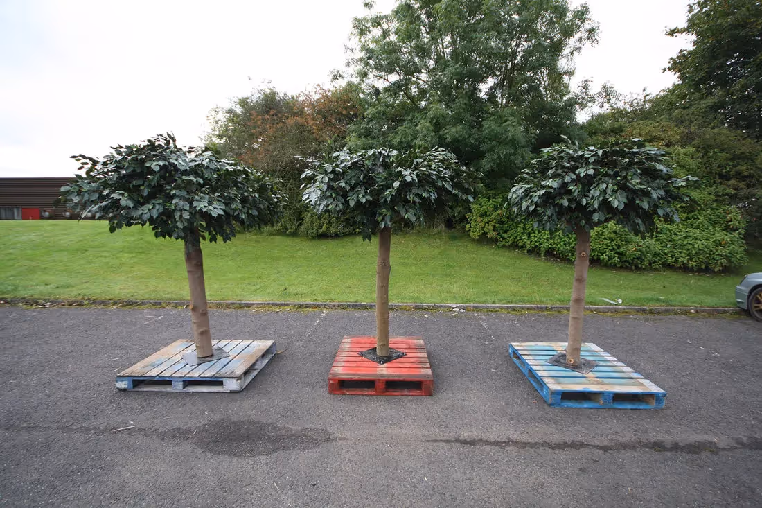 Artificial Ficus Trees idea 004