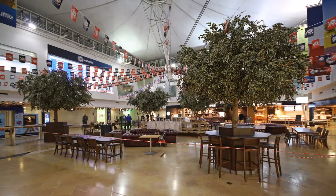 Artificial Ficus Trees idea 007