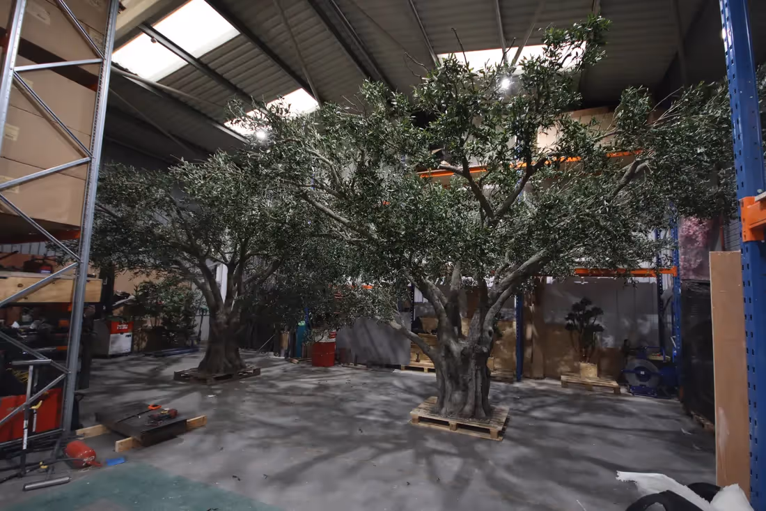 Creative ideas featuring Artificial Olive Trees 004