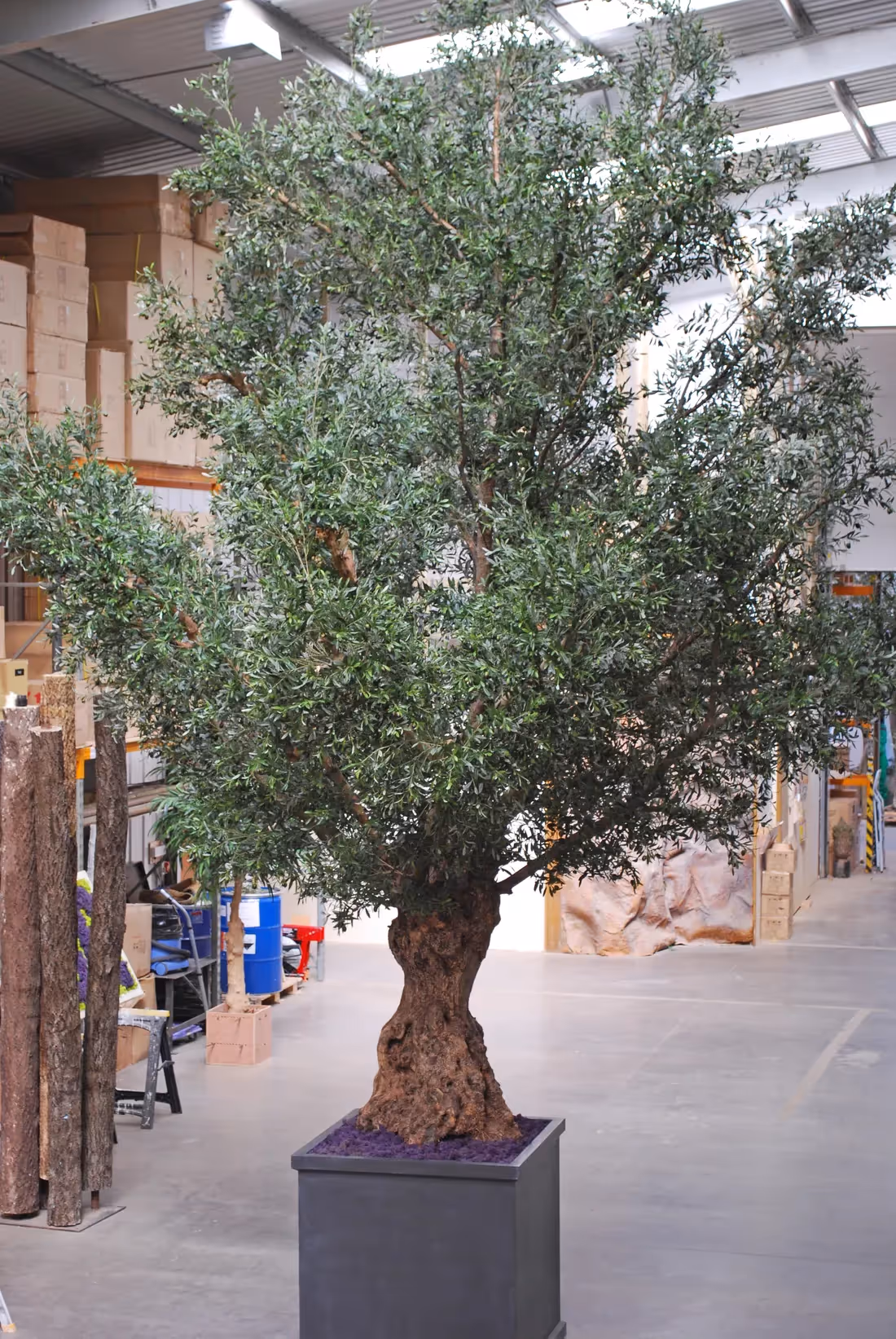 Creative ideas featuring Artificial Olive Trees 010
