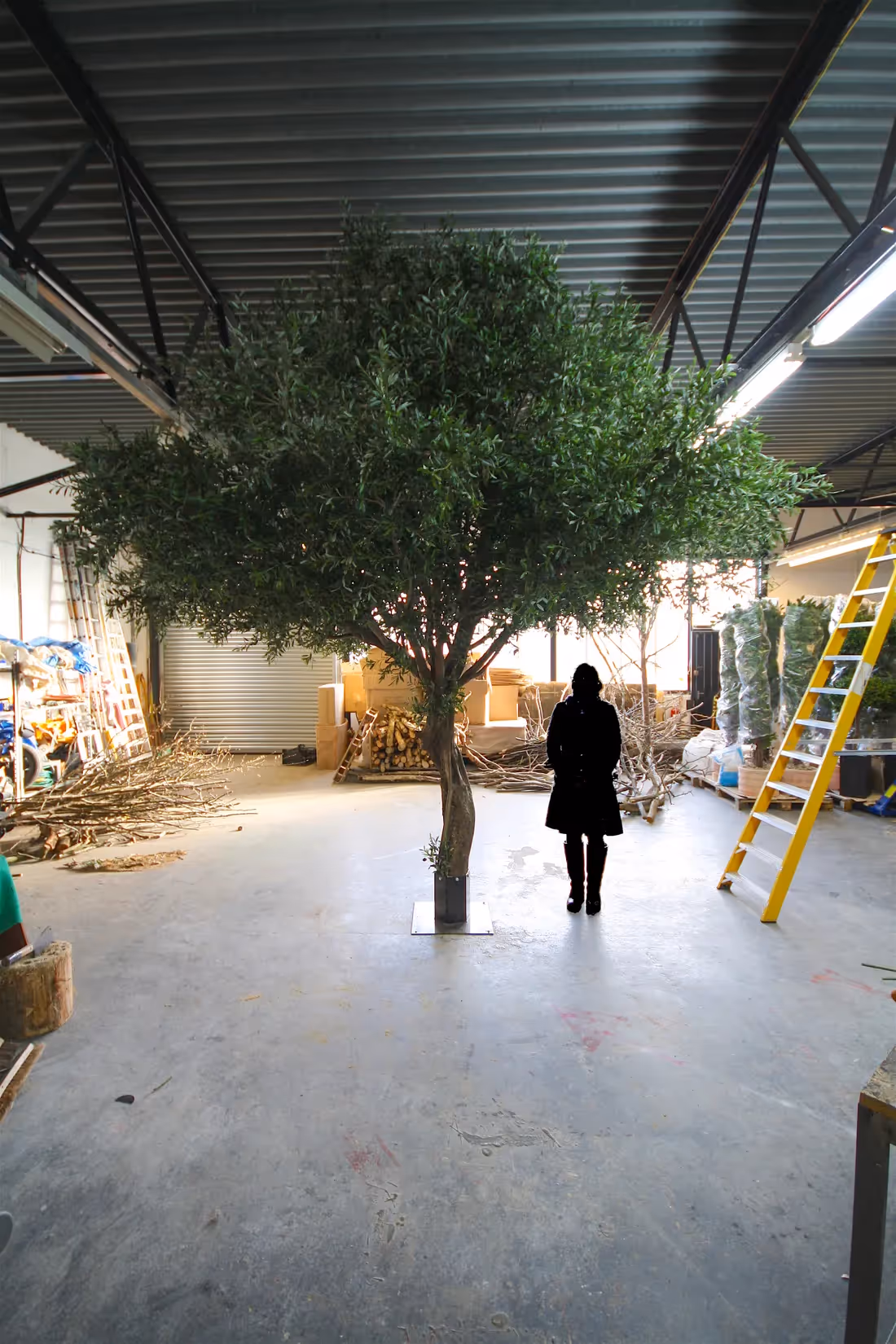 Creative ideas featuring Artificial Olive Trees 014