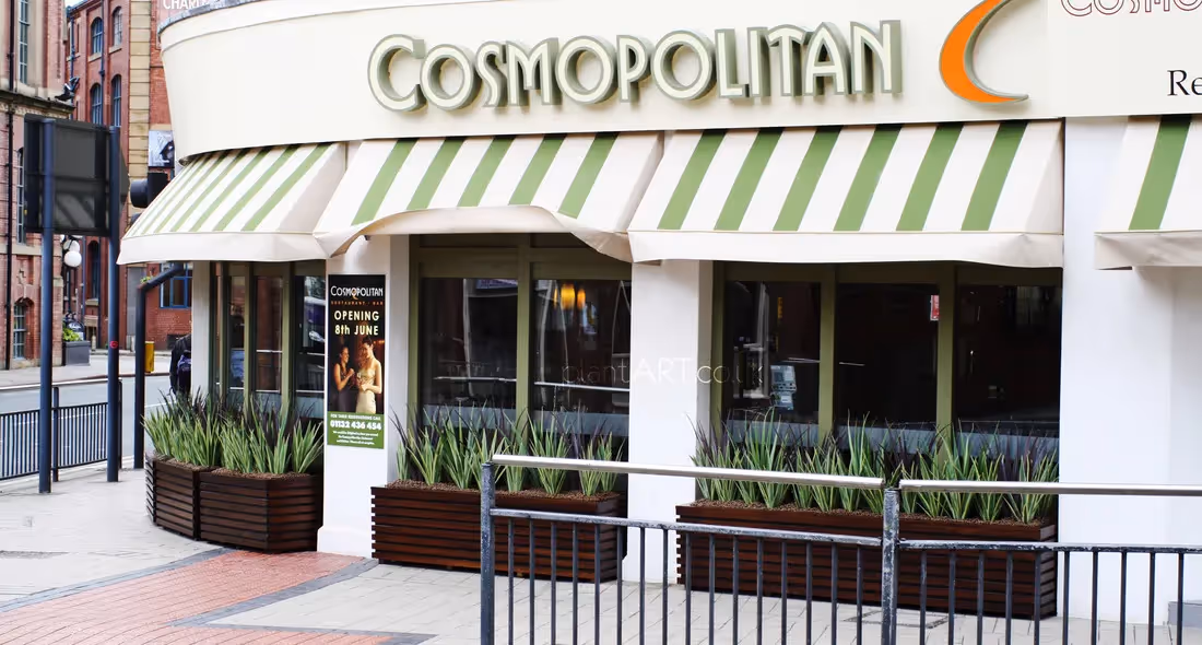 Outdoor Artificial Plants Leeds