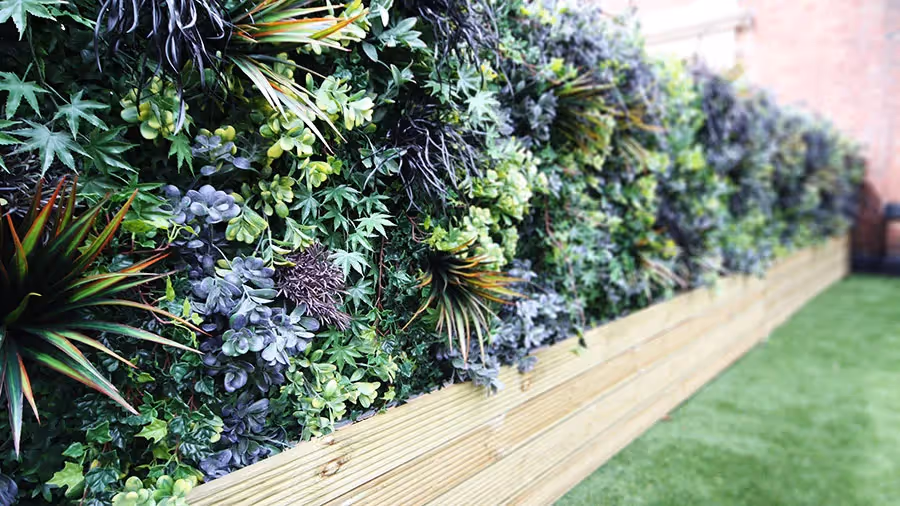 Relaxing at street level!