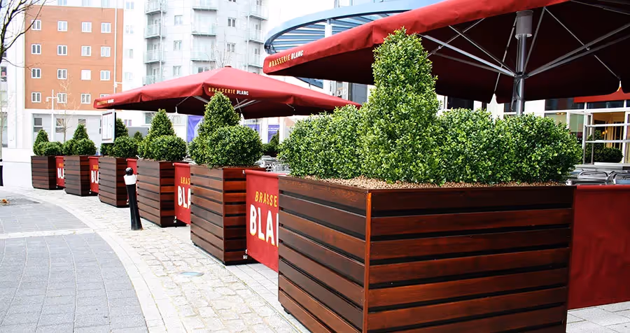 Relaxing at street level!