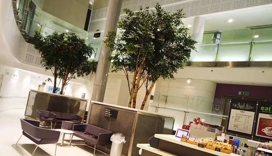 Relaxing at street level!