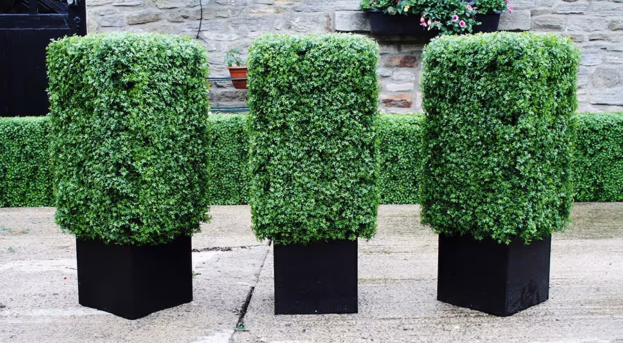 Relaxing at street level!