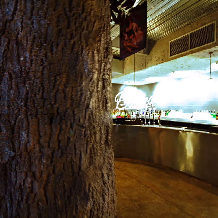 Barking up the right tree!