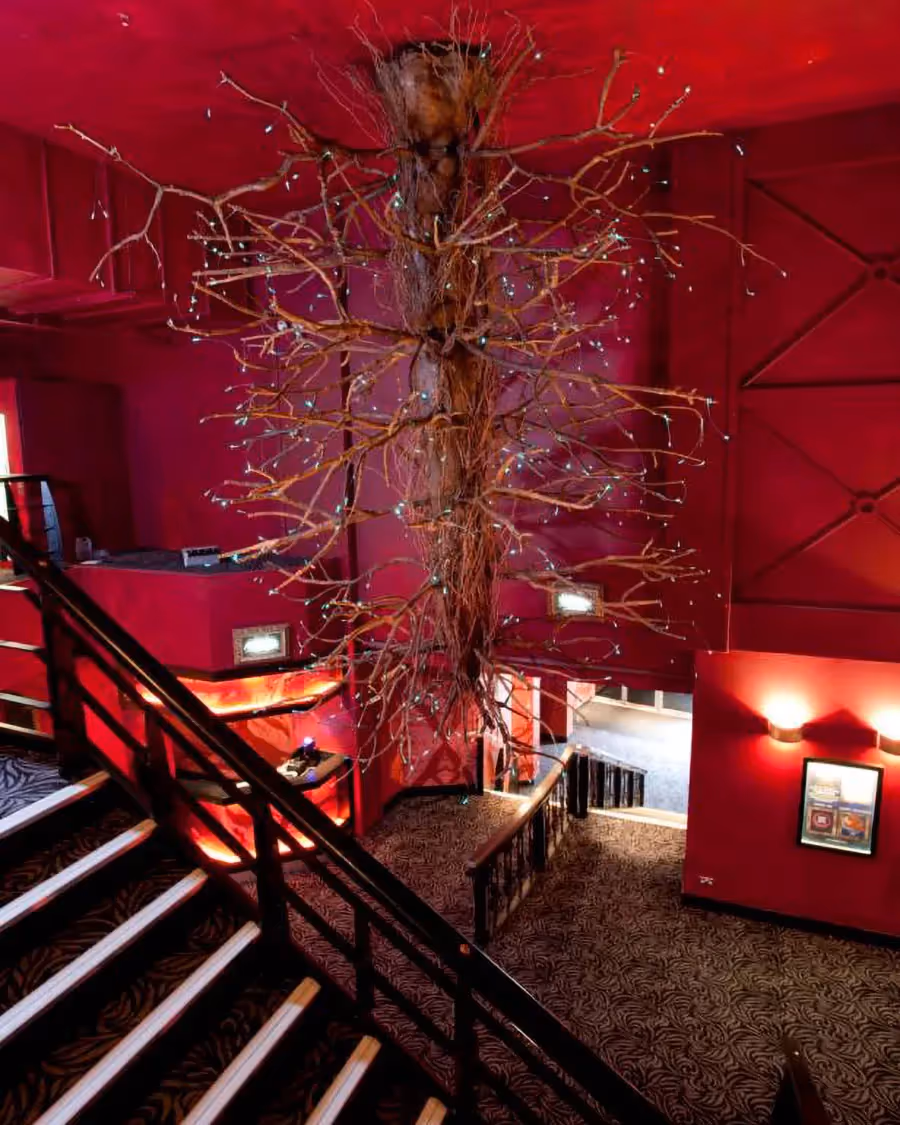 Where no tree has gone before...