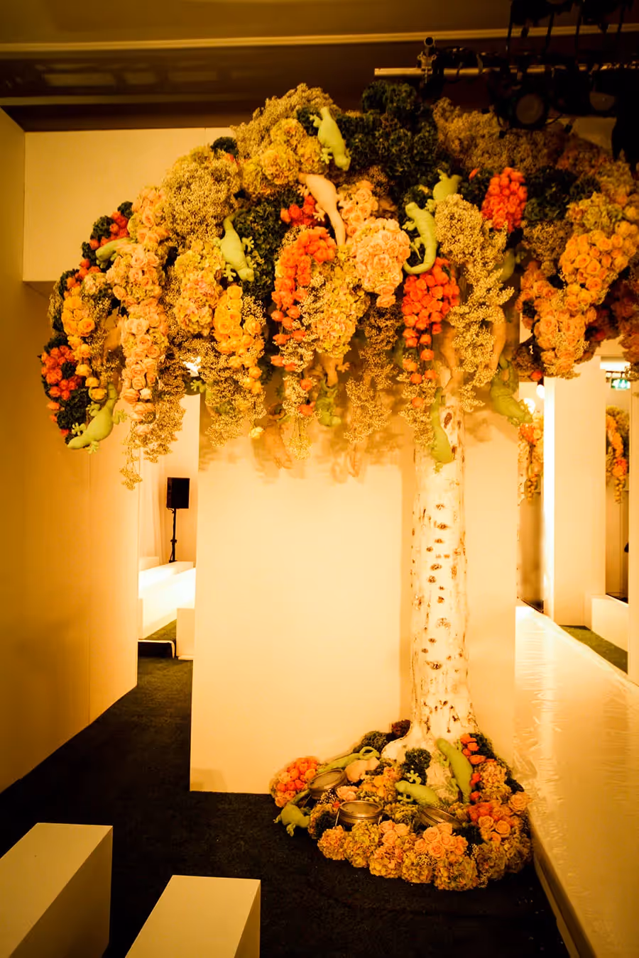 Where no tree has gone before...