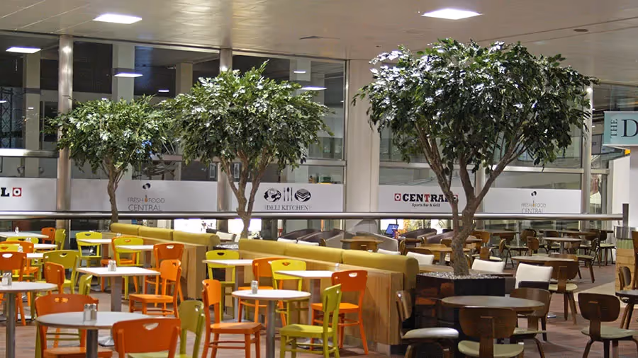 Why Large Artificial Trees?