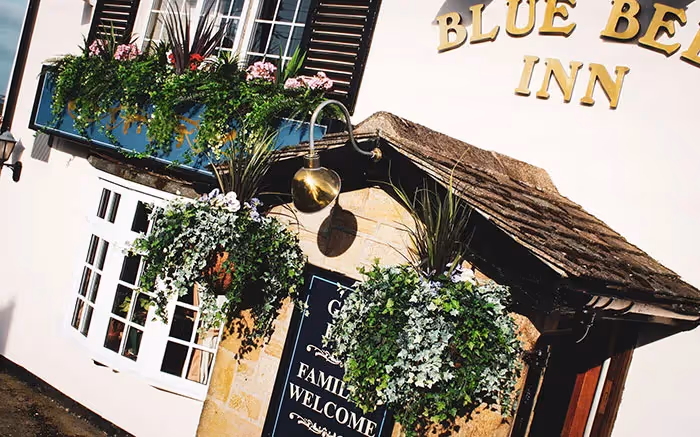 plantART Survival Course!