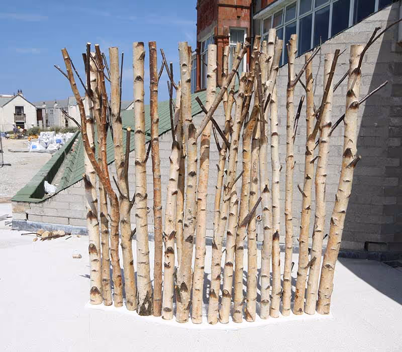 The ultimate Silver Lining?