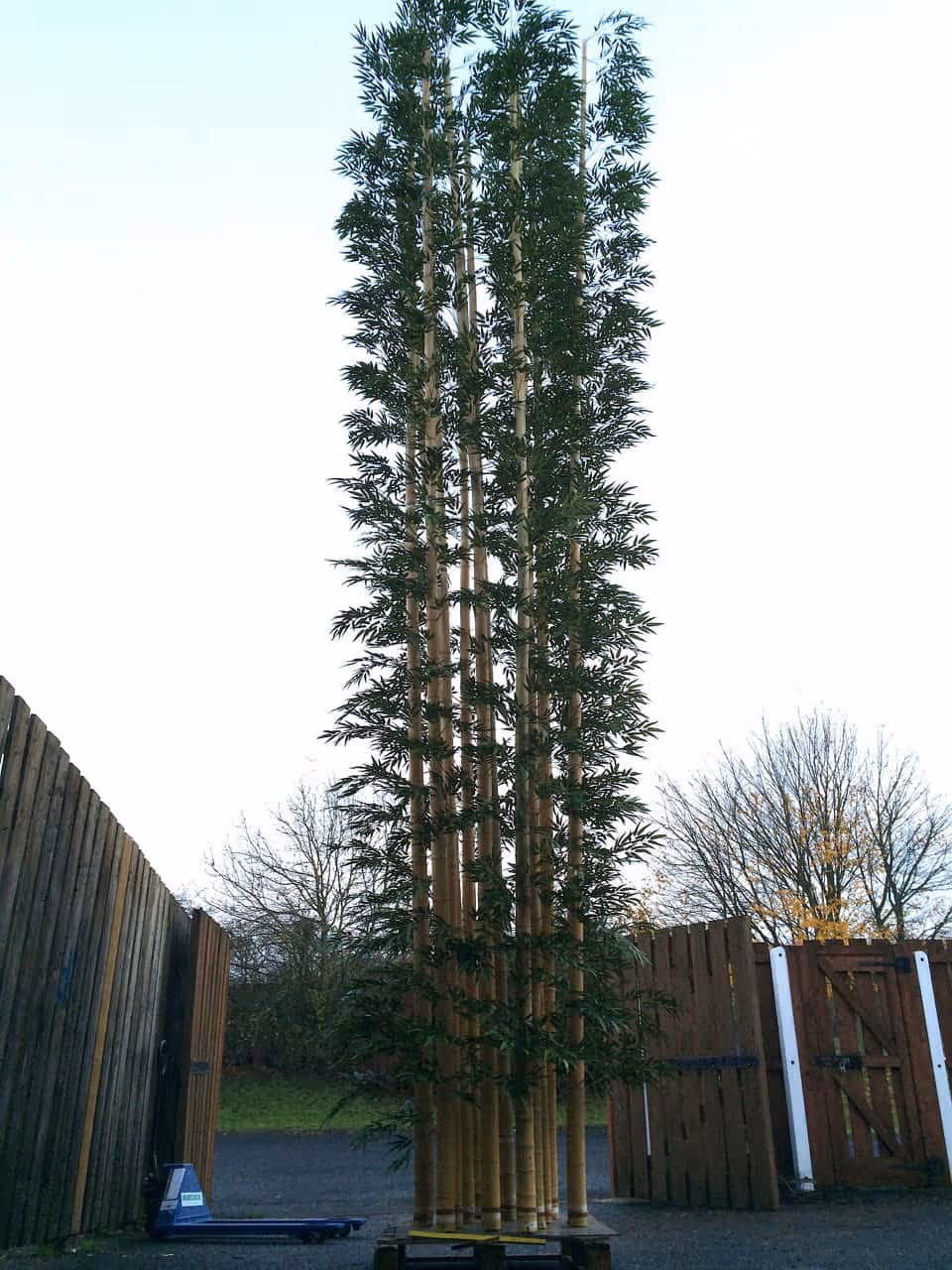 Very tall Artificial Bamboo Tree