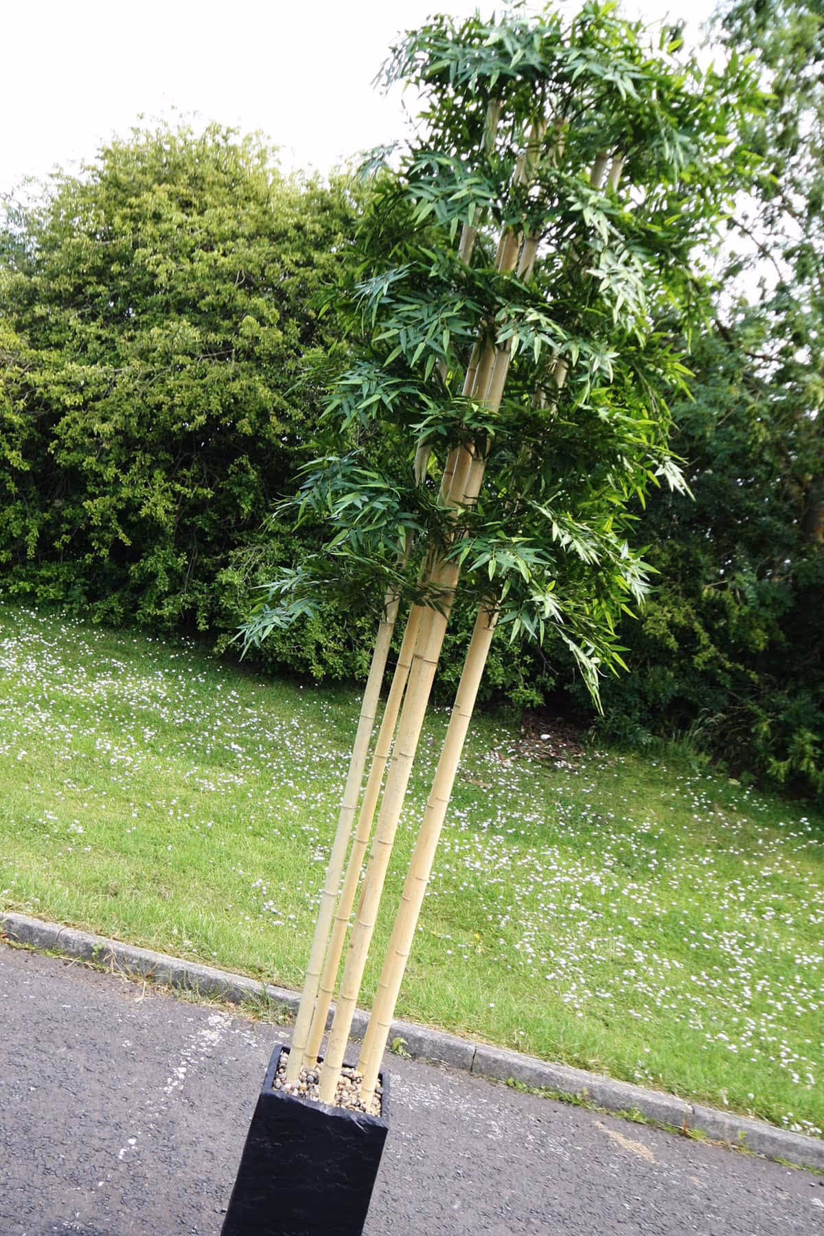 Artificial Bamboo Tree ready for shipping