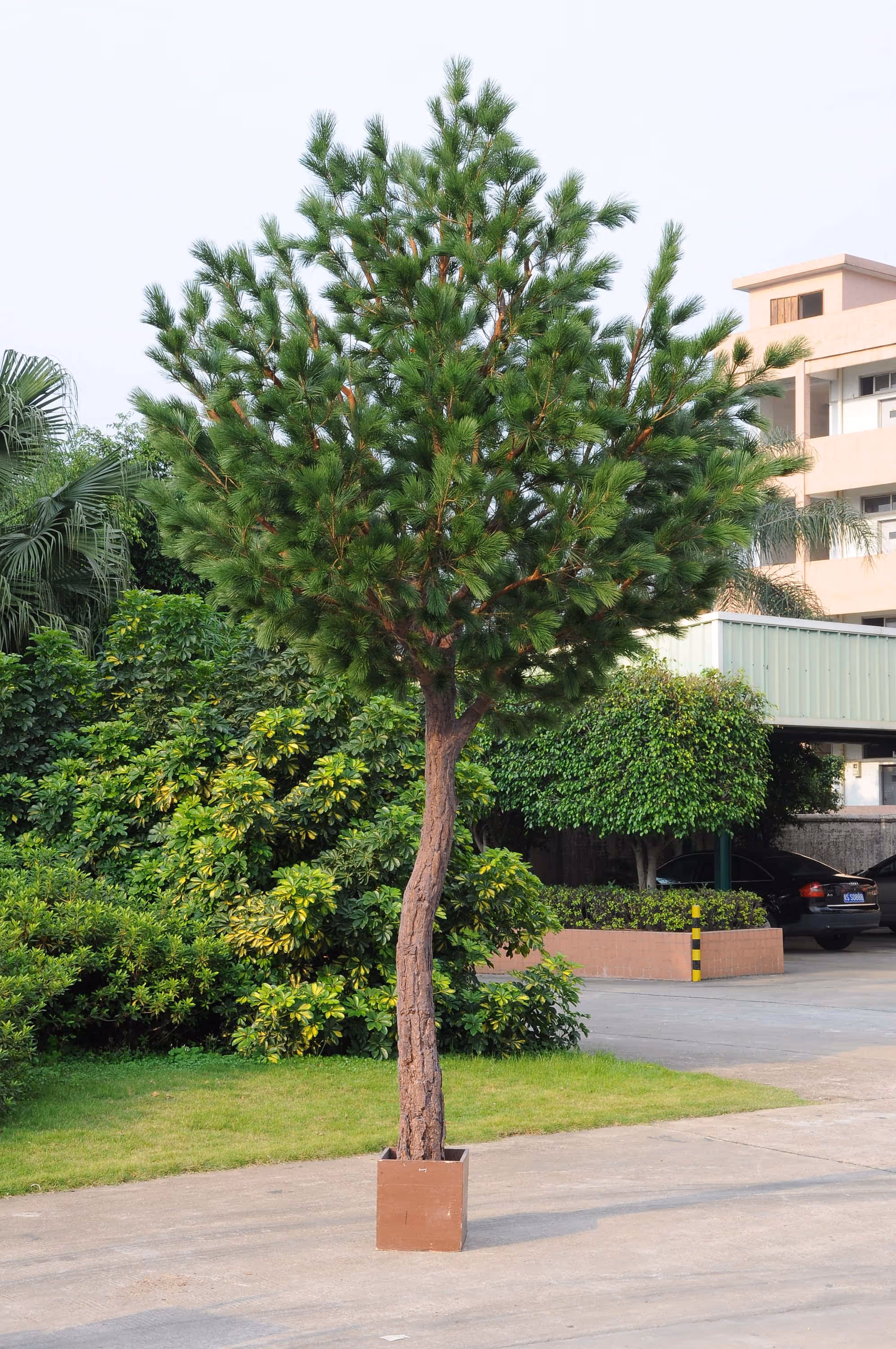 Artificial Cypress tree in yard