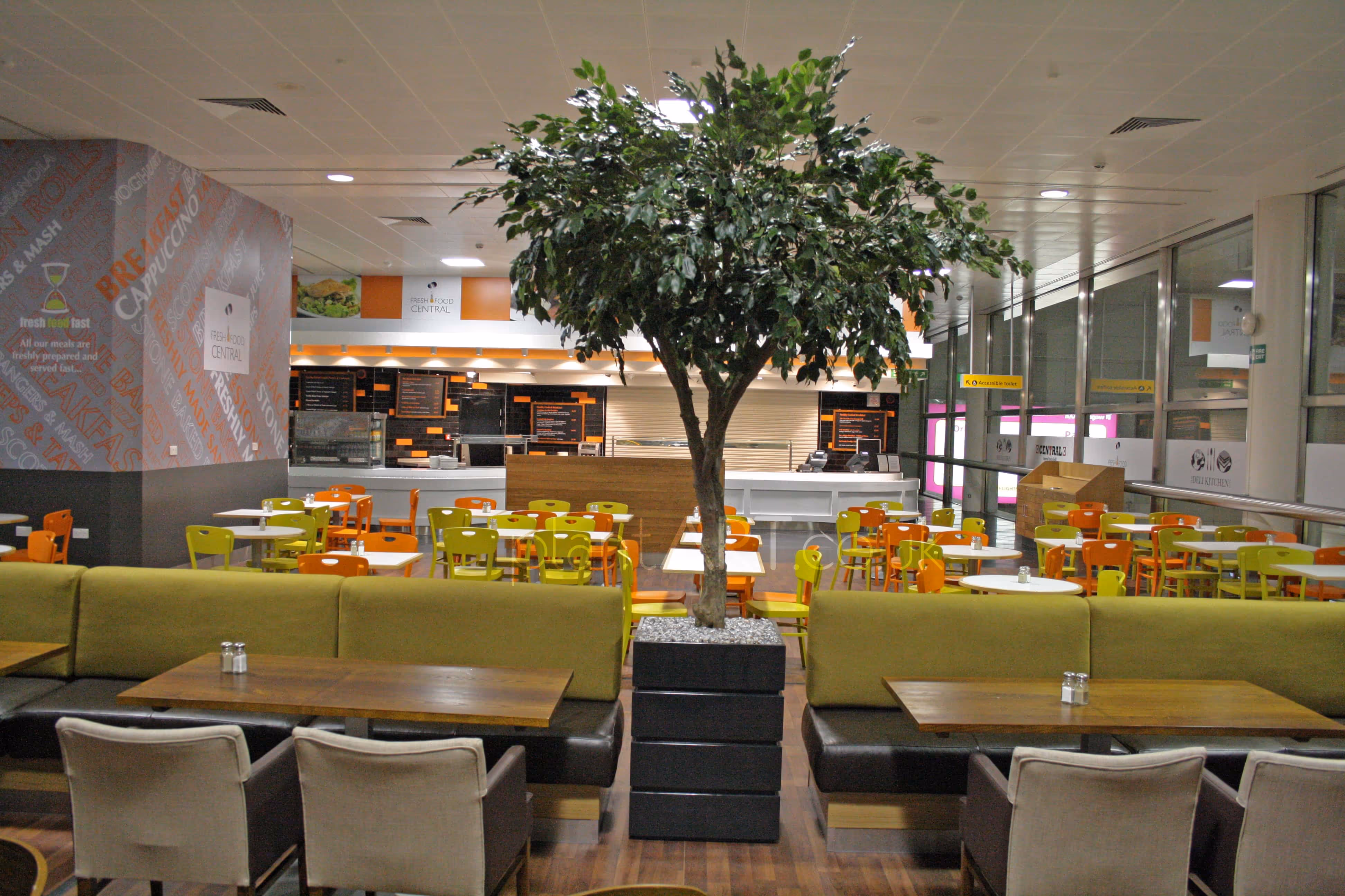 Artificial Ficus Trees idea in hospital 02