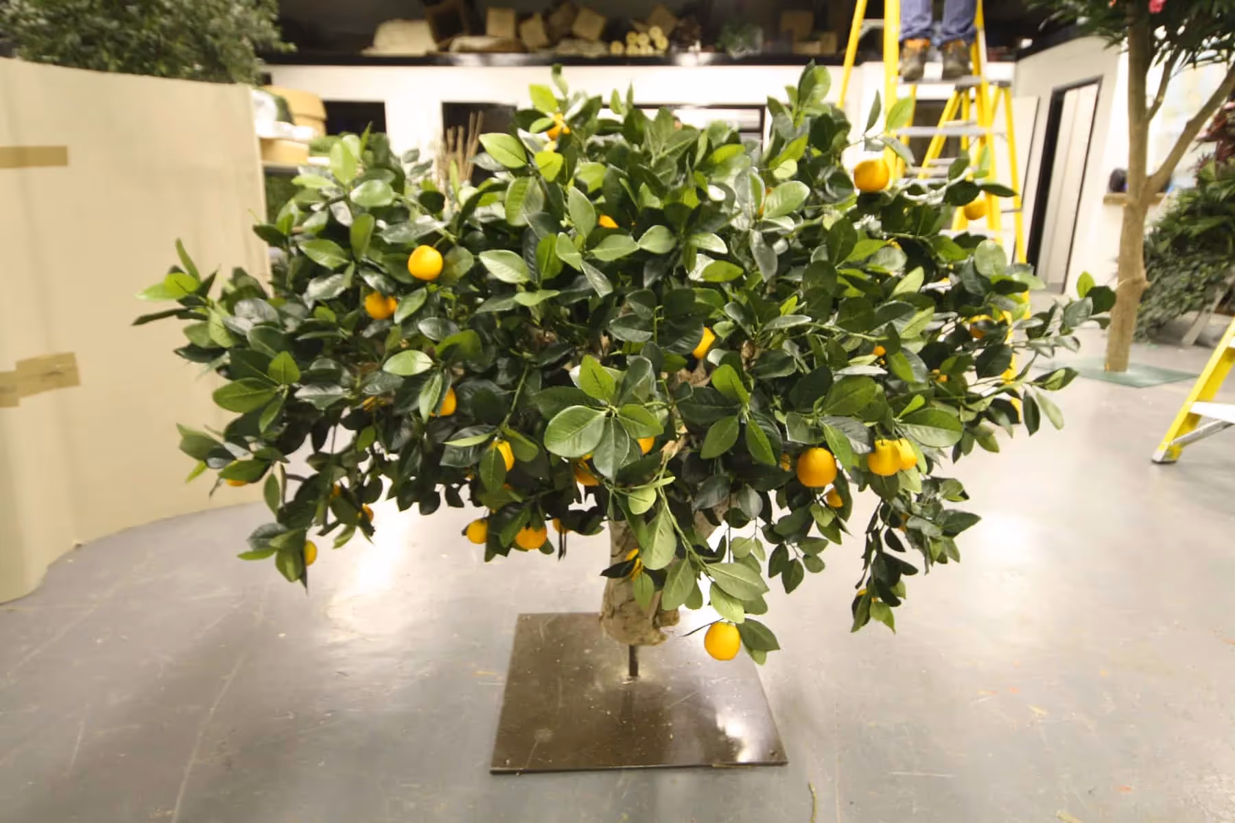 Artificial Fruit Tree in workshop 04