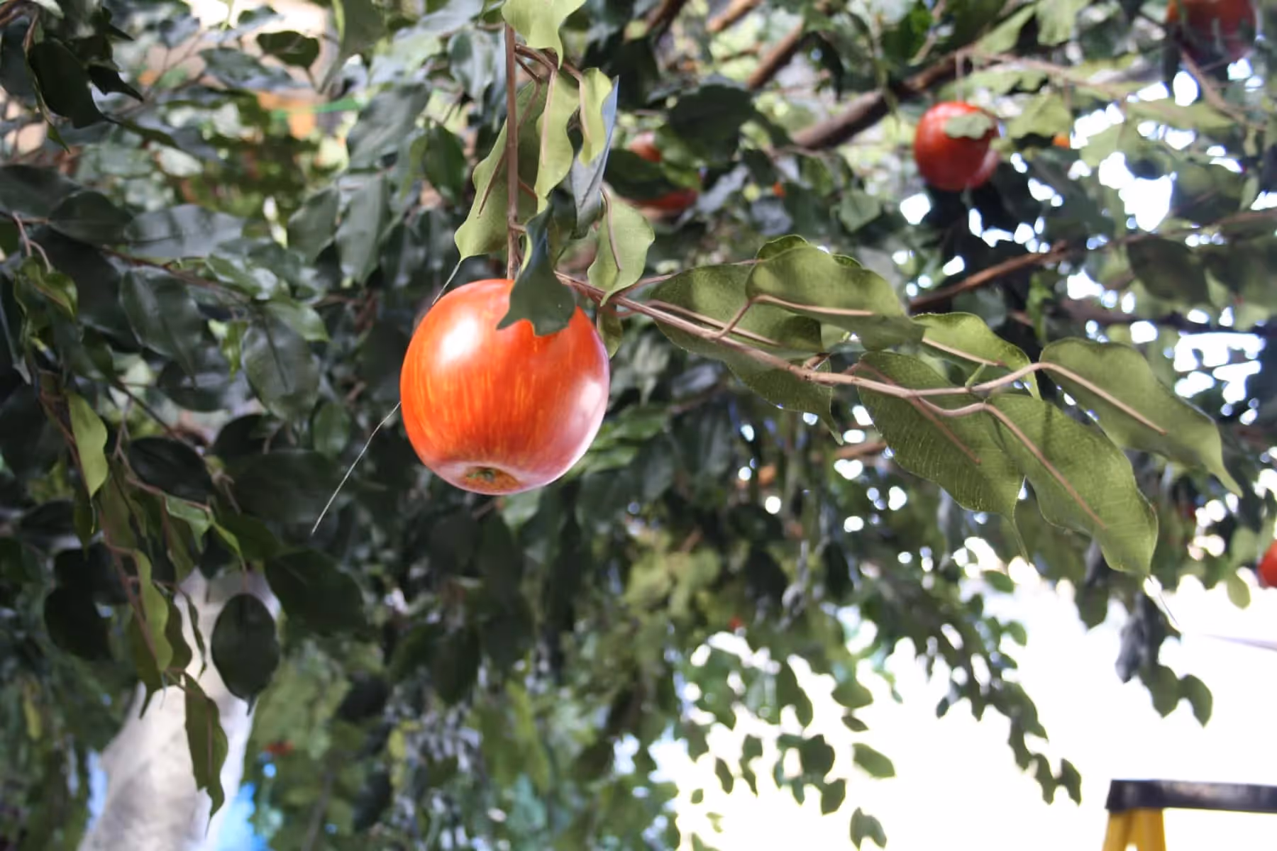close up of Artificial Fruit Tree foliage 07