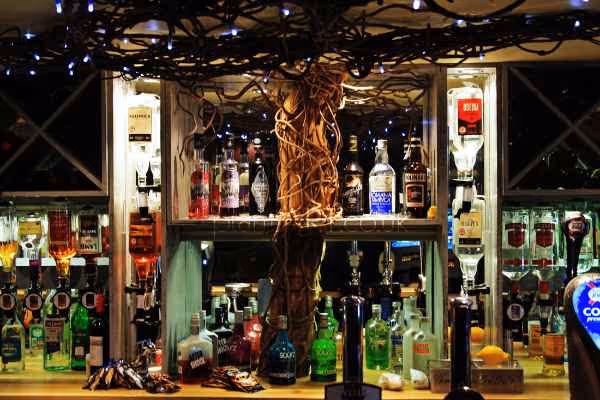 Driftwood Frames and Sculpture