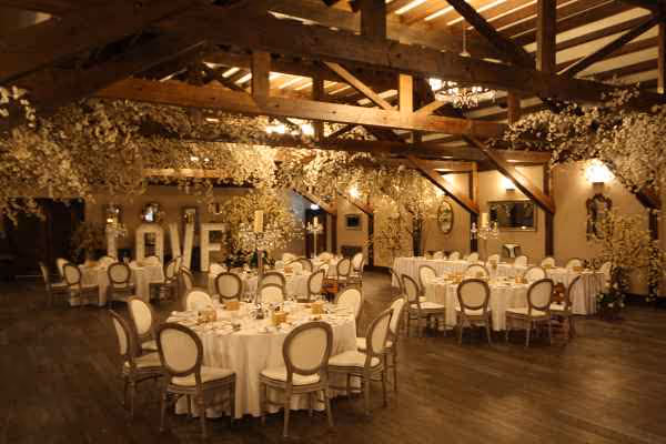 Natural Vines & Wood