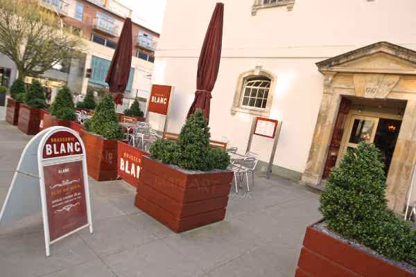 Exterior Trees & Plants