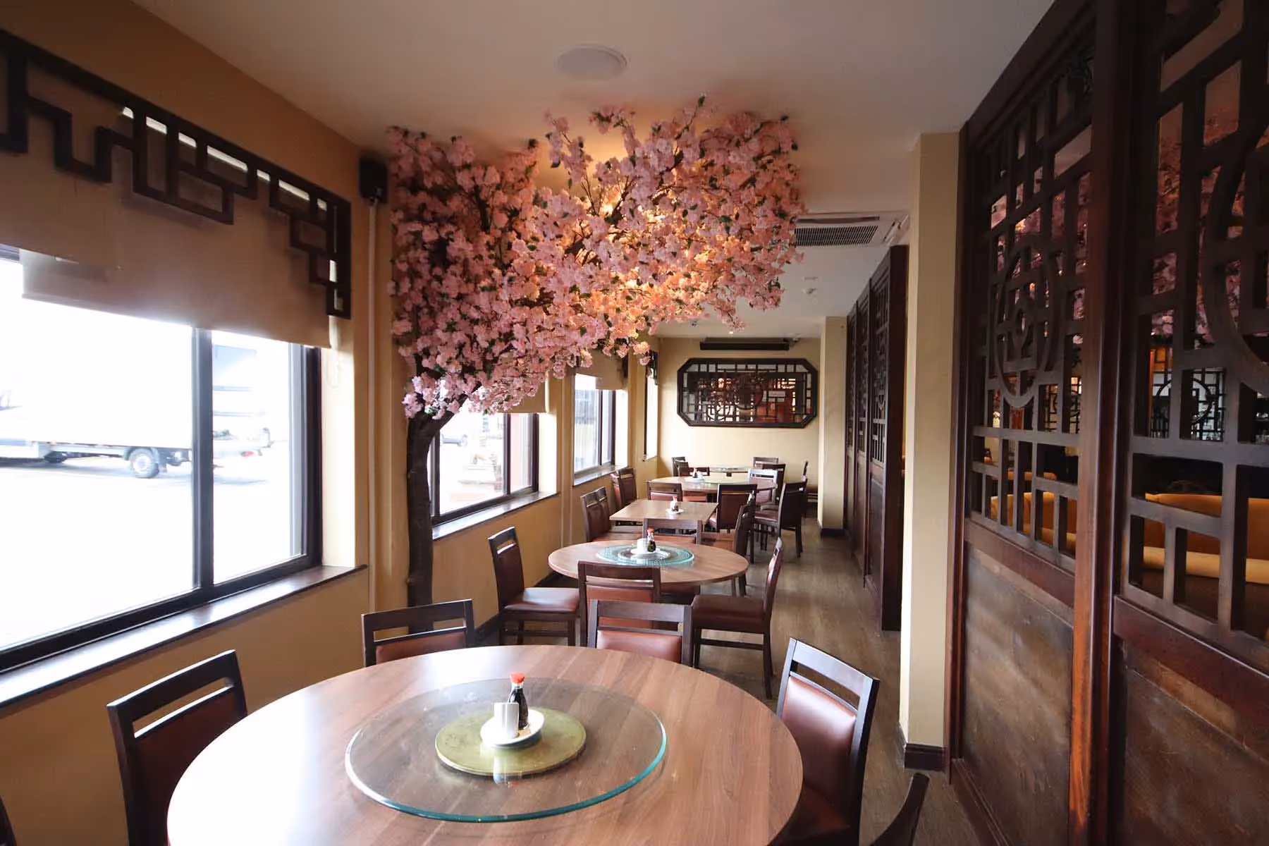 Under the Cherry Tree!