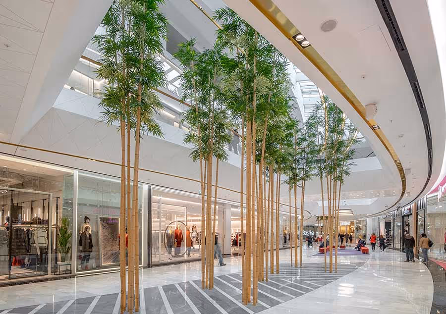 It's like a jungle sometimes, it makes me wonder...