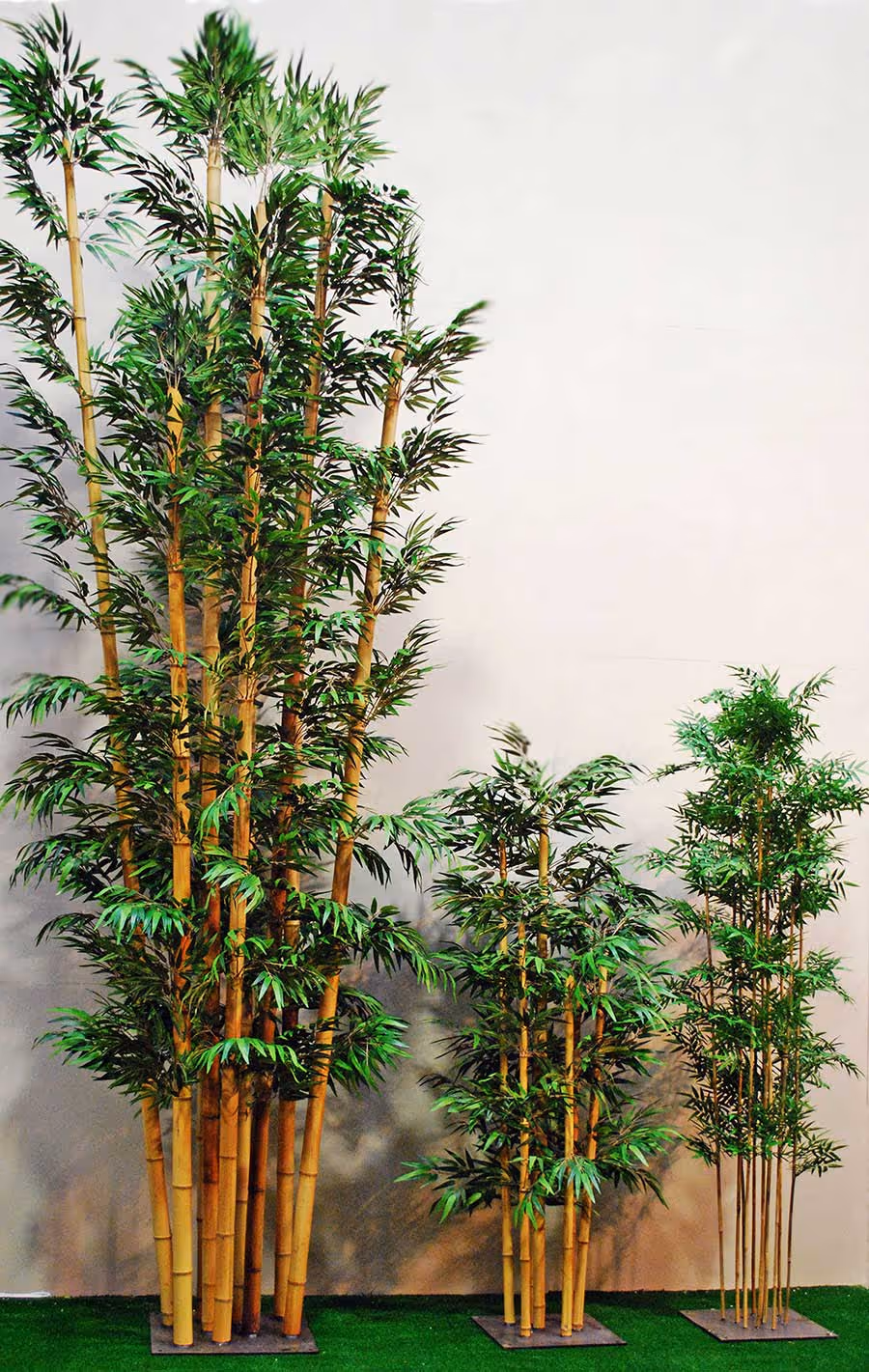 It's like a jungle sometimes, it makes me wonder...