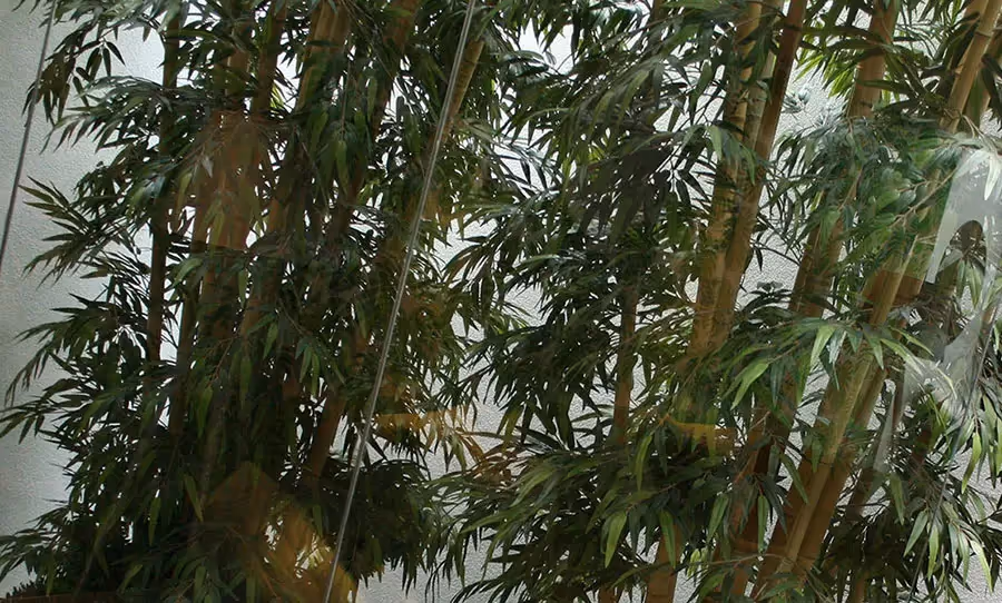 It's like a jungle sometimes, it makes me wonder...