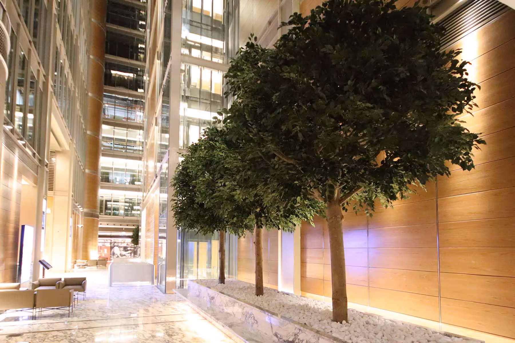 International Rescue